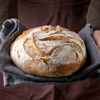 pane appena sfornato