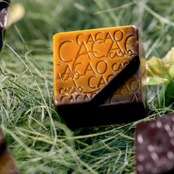 Ricetta Cioccolatino | Pralina alla Birra con Cioccolato Ariba Master Martini